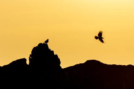 Morning scenery of Busan Orangdae, Busan, Koreaの写真素材