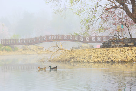 Spring scenery of Yeonji pond in Changnyeong, Koreaの写真素材