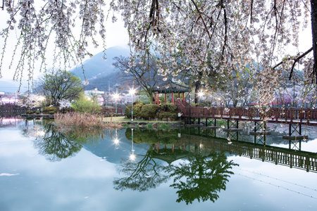 Spring scenery of Yeonji pond in Changnyeong, Koreaの写真素材