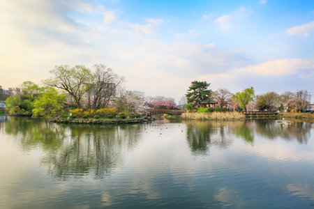 Spring scenery of Yeonji pond in Changnyeong, Koreaの写真素材