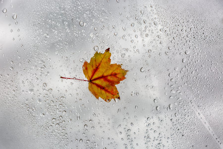 raindrops falling over a glass window