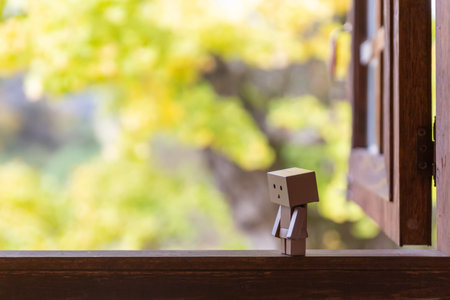 danbo toy figure Enjoying Travel