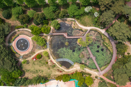 aerial drone view. Spring scenery of the park.