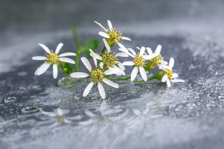 raindrops falling over a glass window