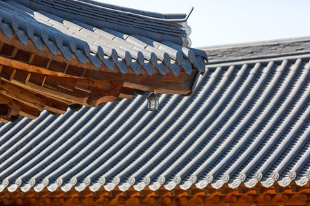 Traditional Korean Architectural Style Hanok Housing Landscape