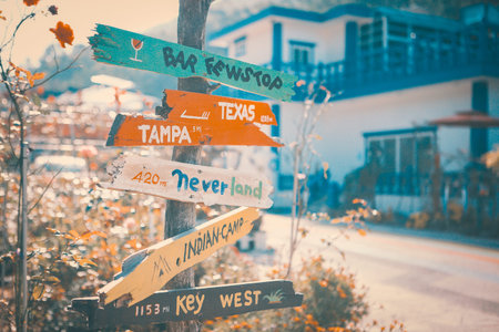 Colorful wooden direction signpost in garden with warm sunlight and travel concept