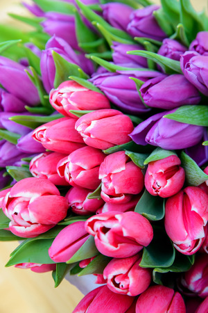 bouquet of tulips on the market in springの写真素材