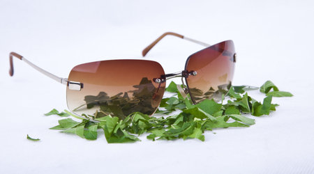 sunglass with leaves