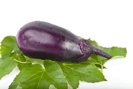 eggplant in green leaves studio shootの写真素材