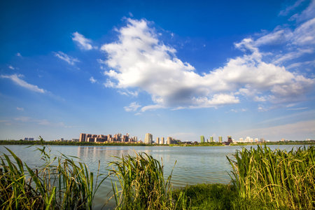 developing cityscape near the lakeの写真素材