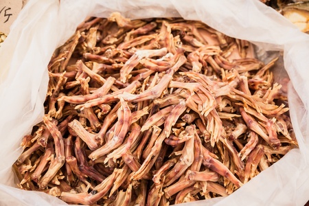 preserved duck feetの写真素材