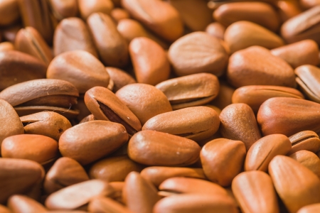 roasted pine seeds stacked togetherの写真素材