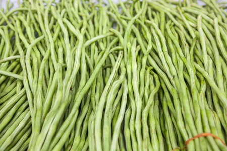 Cowpea stacked in the market place.の写真素材