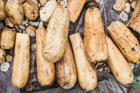 lotus root in the chinese market placeの写真素材