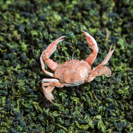 preserved crab on top of green teaの写真素材