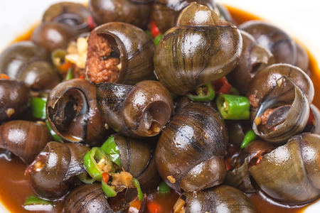 field snail stir fried with chili sauce, a popular chinese dishの写真素材
