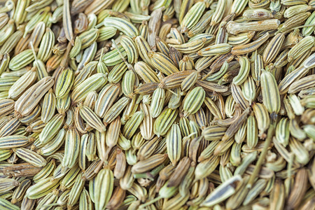 fennel stacked together as backgroundの写真素材