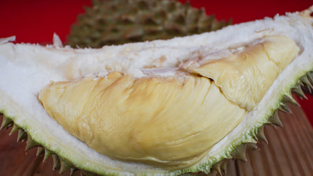 Durian fruit. Ripe durian isolated red background