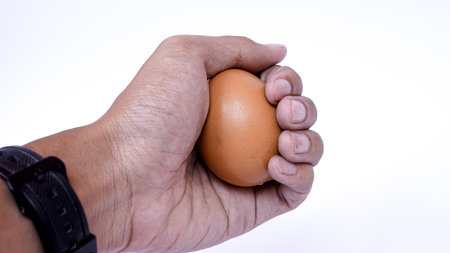 chicken egg isolated white backgroundの写真素材