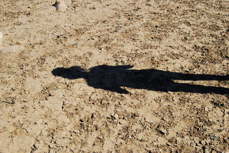 Shadow in desertの写真素材