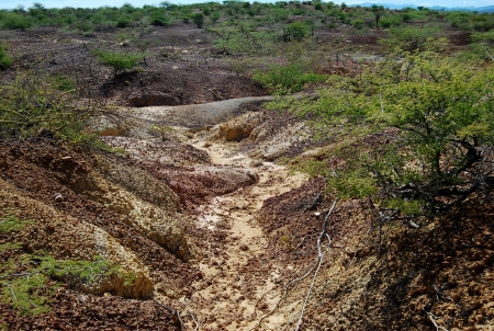 Desertic landの写真素材