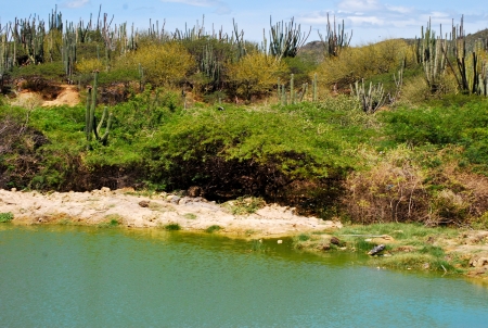 Desert landscapeの写真素材