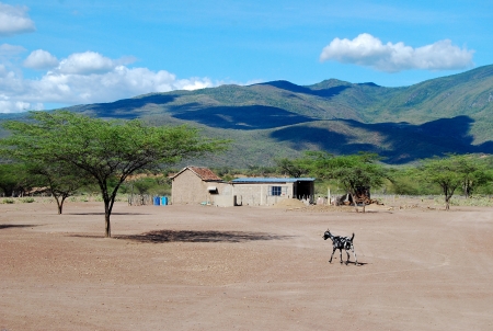 Desertic landの写真素材