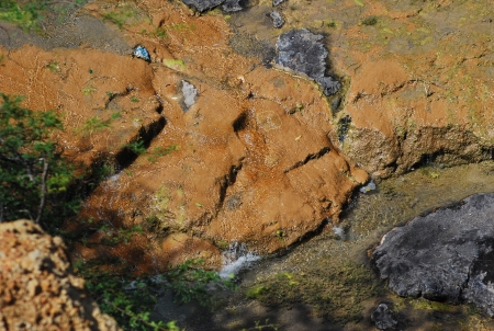 Riverの写真素材