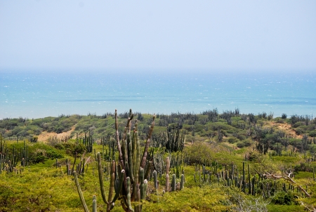Desert landscapeの写真素材