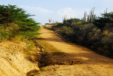 Desert pathの写真素材