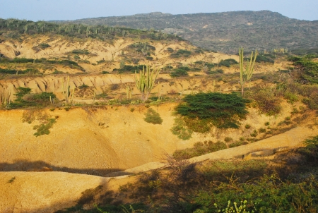 Desert landscapeの写真素材