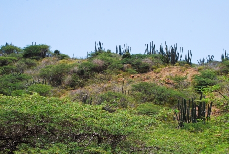Desert landscapeの写真素材