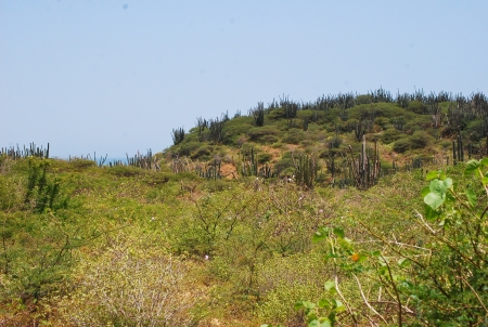 Desertic landの写真素材