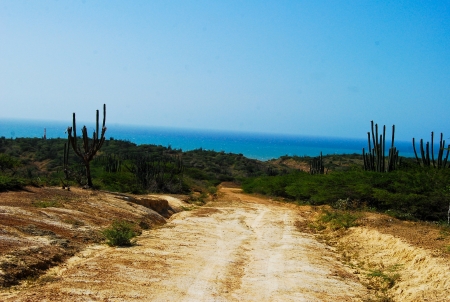 Desert roadの写真素材