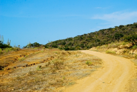 Land pathの写真素材