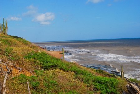 Wild beachの写真素材