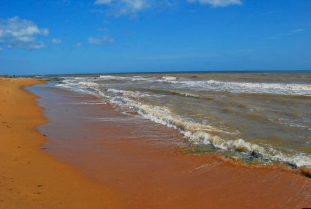 Waveの写真素材