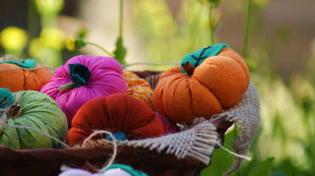 Fabric handicrafts - Pumpkinの写真素材