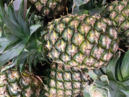Fresh pineappleの素材