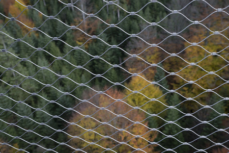 high angle shot of black forest at Bad Wildbadの写真素材
