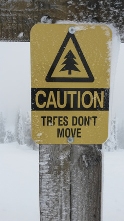 sign says trees don't moveの写真素材