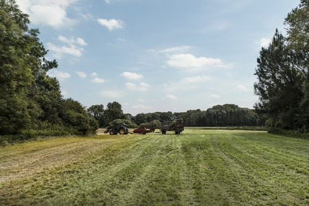 hay making near munichの写真素材