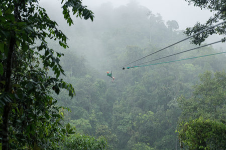 woman ziplining over the tropical treesの写真素材