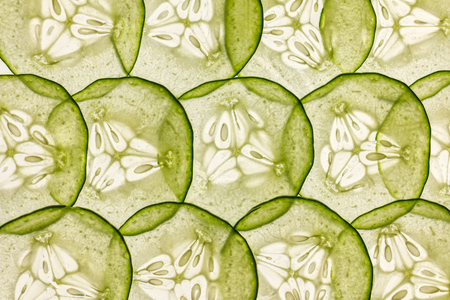 very thin slices of fresh cucumber on white backgroundの写真素材