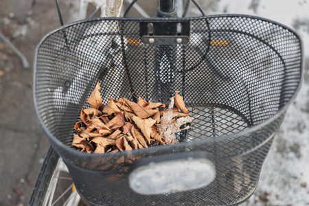 bicycle basket with dead dried leavesの写真素材