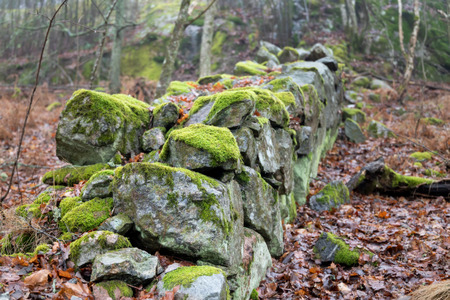 old crumbled stone fence with mossの写真素材