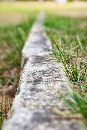 Border line in lawn made of limestoneの写真素材