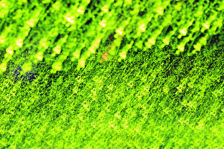 Christmas Night Lights の写真素材