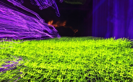 Christmas Night Lights の写真素材