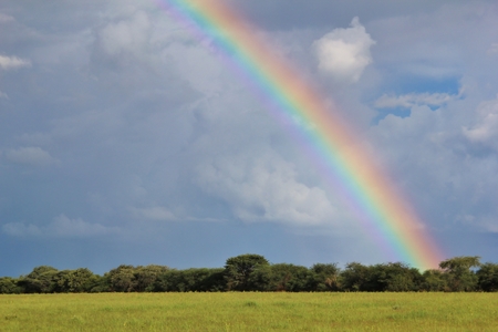 Rainbow  Screensaver Wallpaper of Beautiful Colors - Blue, Orange, Red, Green, Yellowの写真素材